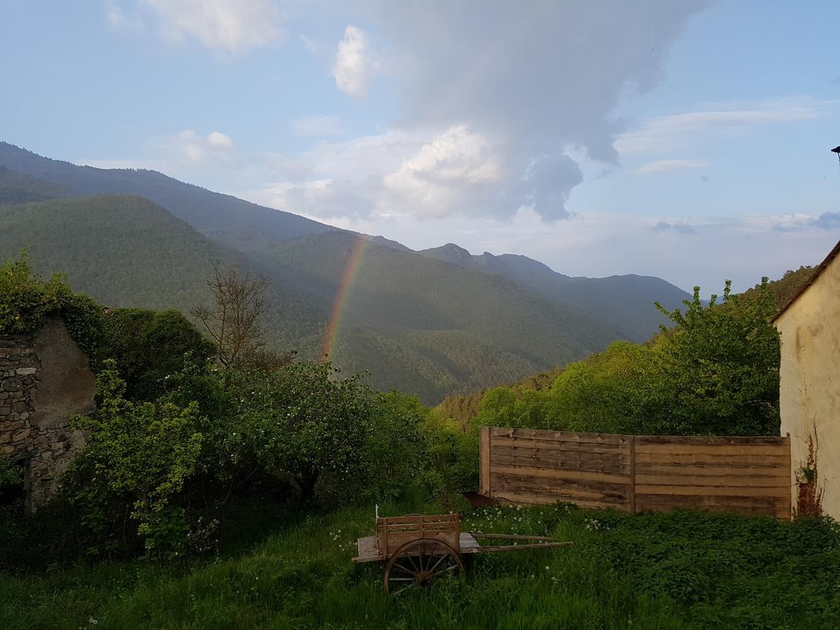 Marsat Domaine Des Massols B&B 외부 사진